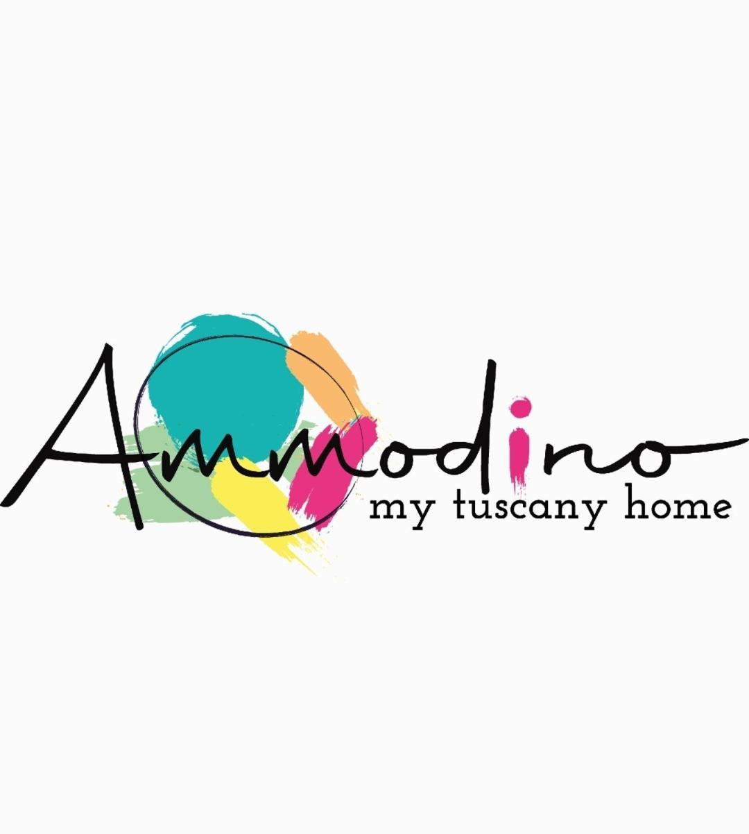 Bed & Breakfast Ammodino My Tuscany Pisa